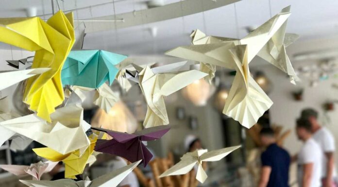 Dia Mundial do Origami: IKEDA convida clientes a expor os melhores trabalhos dia mundial origami