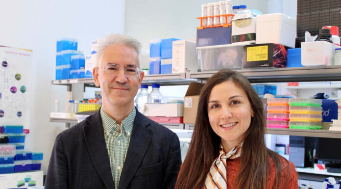 Doença de Machado-Joseph: fármaco para epilepsia pode ser terapia promissora Doença de Machado-Joseph