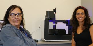 Impressão 4D: Cientistas da Universidade de Coimbra usam bactérias como fábricas de matéria-prima impressão 4d