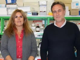 Origem da doença de Parkinson pode estar no intestino, segundo estudo da UC origem da doença de parkinson