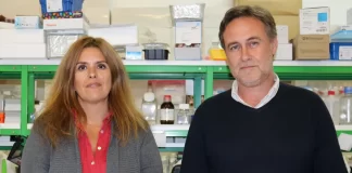 Origem da doença de Parkinson pode estar no intestino, segundo estudo da UC origem da doença de parkinson