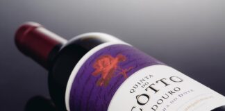 Quinta do Côtto Vinha do Dote, o vinho-tributo da Montez Champalimaud quinta do cotto vinha do dote