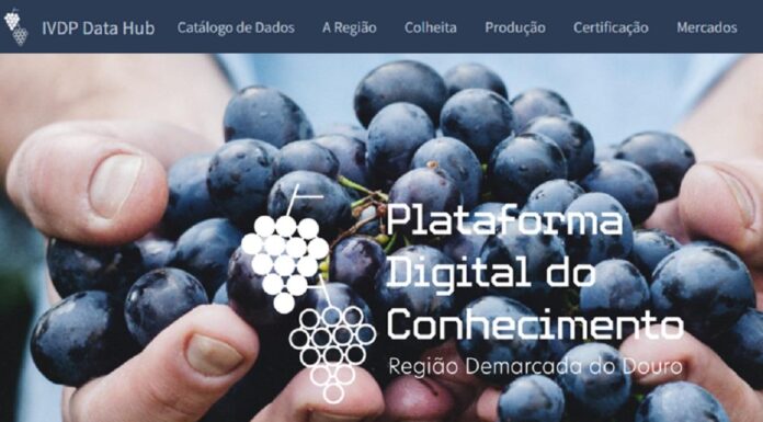 Instituto dos Vinhos do Douro e do Porto e Nova IMS lançam plataforma digital dedicada à região instituto dos vinhos do douro e do porto