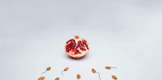 Nutrição e fertilidade: descubra uma relação estreita nutrição e fertilidade