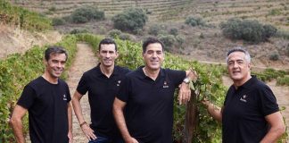 Vinho Restrito: 17 anos de paixão pelo Douro e pela excelência vinícola vinho restrito equipa