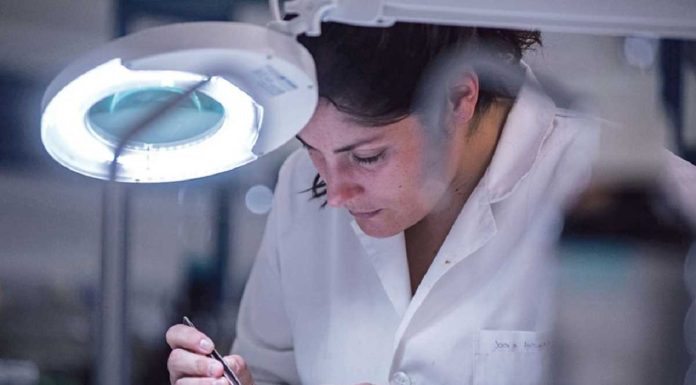 Nanoplásticos podem afetar células cerebrais e do cólon humano nanoplasticos