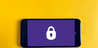 Exclusive Networks estabelece parceria com Salt Security para combater ameaças crescentes de segurança API segurança api