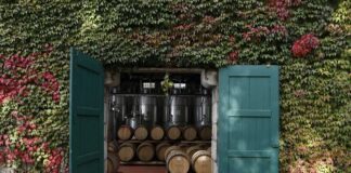 Casa da Ínsua: vinhos trazem duas medalhas de ouro de Espanha casa da insua