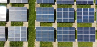 Sustenta UC: Universidade de Coimbra lança concurso de ideias de negócio sustenta uc