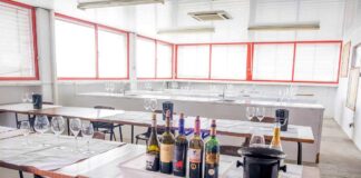 WSET: há novos cursos em Portugal para a principal certificação no mundo dos vinhos wset