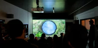 ViViFiCAR: há 3 exposições desenvolvidas em colaboração com a comunidade para ver vivificar