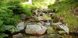Ecossistemas aquáticos: estudo da Science alerta para a necessidade de redução do impacto humano ecossistemas aquaticos