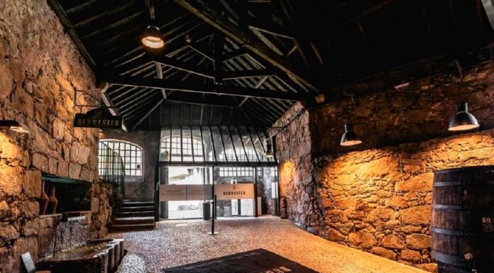 Caves de Vinho do Porto da Sogevinus com dupla distinção nos prémios “Traveller ́s Choice 2022” caves de vinho do porto