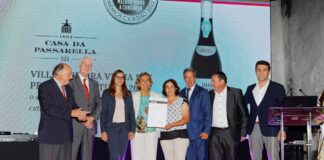 Melhor Vinho do Dão é o Villa Oliveira Vinha das Pedras Altas Tinto 2016 melhor vinho do dao