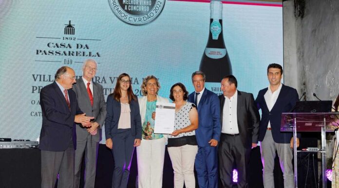 Melhor Vinho do Dão é o Villa Oliveira Vinha das Pedras Altas Tinto 2016 melhor vinho do dao