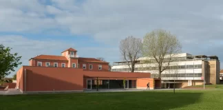 Melhores escolas de negócios do mundo: Católica Porto entre as eleitas melhores escolas de negocios do mundo