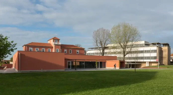 Melhores escolas de negócios do mundo: Católica Porto entre as eleitas melhores escolas de negocios do mundo