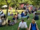 Somersby Out Jazz regressa para dar música em Oeiras somersby out jazz em oeiras