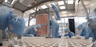 Primeiros resultados do XENONnT na procura de matéria escura no Universo