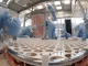Primeiros resultados do XENONnT na procura de matéria escura no Universo