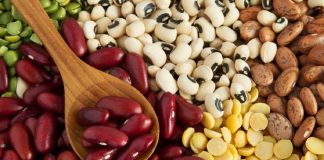 Insetos comestíveis e leguminosas em produtos inovadores para promover mudança de hábitos alimentares insetos comestiveis leguminosas