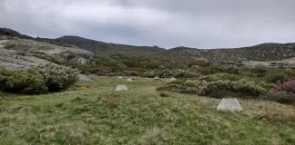 Aquecimento global: Cientistas da Universidade de Coimbra estudam o efeito na Serra da Estrela