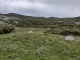 Aquecimento global: Cientistas da Universidade de Coimbra estudam o efeito na Serra da Estrela