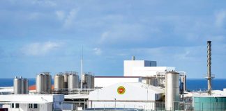 Caldeira a biomassa em fábrica dos Açores diminui emissões de CO2 em 85% caldeira a biomassa
