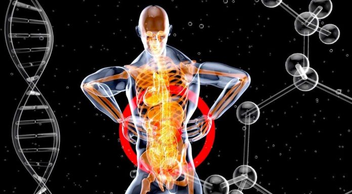 Medicina de longevidade: Portugal recebe os maiores investidores do mundo na área medicina de longevidade