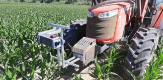 Plantações de milho: investigadores de Coimbra desenvolvem sistema inovador de monitorização plantacoes de milho