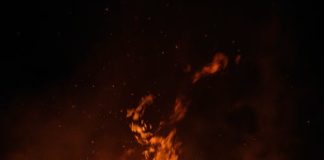 Combate a incêndios: IEP apresenta nova plataforma combate a incêndios