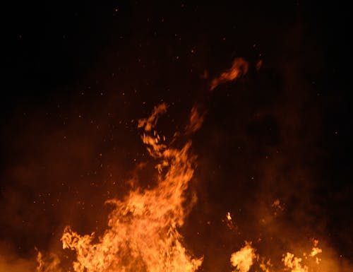 Combate a incêndios: IEP apresenta nova plataforma combate a incêndios