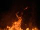 Combate a incêndios: IEP apresenta nova plataforma combate a incêndios