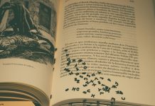 Prémio de Literatura Infantil: Pingo Doce abre candidaturas para a categoria de texto premio de literatura infantil