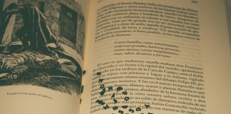 Prémio de Literatura Infantil: Pingo Doce abre candidaturas para a categoria de texto premio de literatura infantil