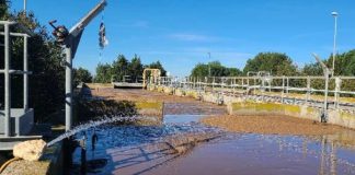 Quinta aquapónica: primeira da Europa utiliza águas residuais para a criação de peixe e vegetais quinta aquaponica