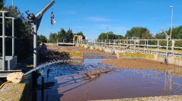 Quinta aquapónica: primeira da Europa utiliza águas residuais para a criação de peixe e vegetais quinta aquaponica