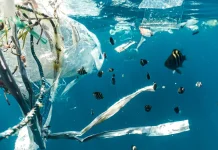 MARE apela à redução de plástico no mar redução de plástico no mar
