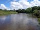Biodiversidade dos rios europeus: recuperação estagnou na década de 2010 biodiversidade dos rios