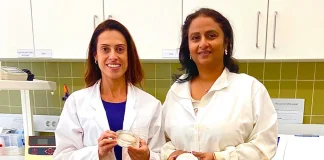 Ecossistemas de água doce: estudo identifica riscos da contaminação simultânea de nanoplásticos e metais ecossistemas de água doce