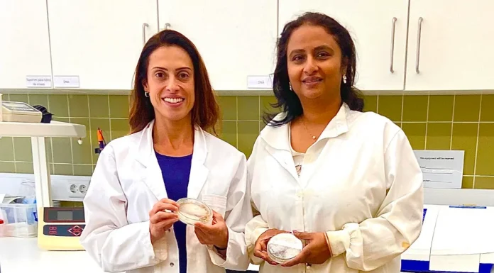 Ecossistemas de água doce: estudo identifica riscos da contaminação simultânea de nanoplásticos e metais ecossistemas de água doce