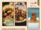 Bragança promove Semana Gastronómica da Castanha semana gastronómica da castanha Bragança