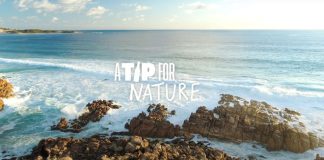 Recolha de embalagens de vidro: AIVE lança projeto-piloto no canal Horeca a-tip-for-nature recolha de embalagens de vidro