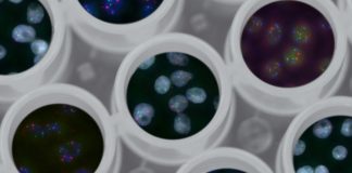 Universidade de Coimbra dinamiza seminários sobre desenvolvimentos da Engenharia Química desenvolvimentos da engenharia química