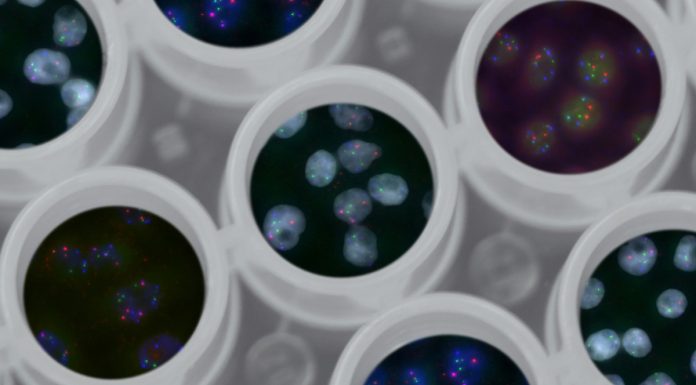 Universidade de Coimbra dinamiza seminários sobre desenvolvimentos da Engenharia Química desenvolvimentos da engenharia química