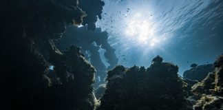 Fundo do mar traz tecnologia de ponta e especialistas internacionais à ilha da Madeira fundo do mar madeira