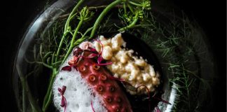 Receitas de algas à portuguesa em livro e em destaque na BTL receitas de algas