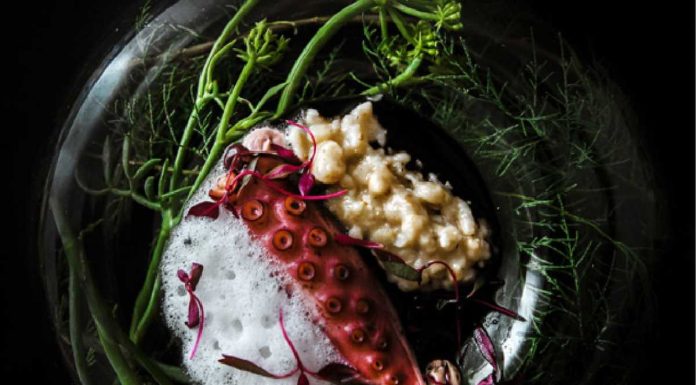 Receitas de algas à portuguesa em livro e em destaque na BTL receitas de algas