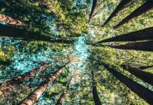 Semana da Sustentabilidade: FEP apresenta primeira edição semana da sustentabilidade