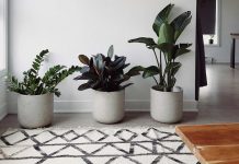 Decoração sustentável para um lar mais inteligente: investir com sabedoria em casa decoracao sustentavel